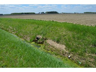Property photo 20 - 77.4 Productive, Tillable Acres Land Auction
